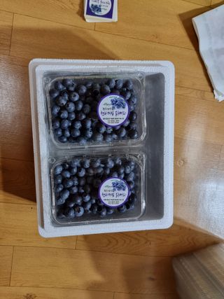 젠틀맨님의 블루베리 · 자유게시판 작성글 사진