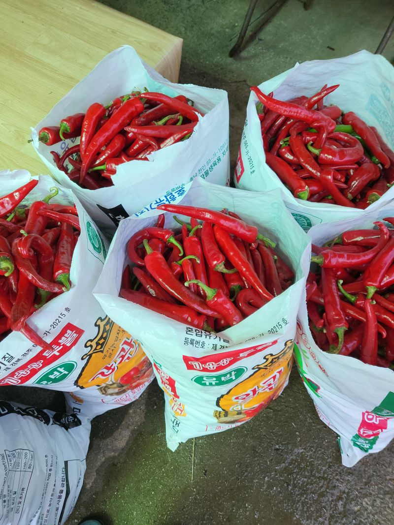 장터 상품 [2023햇고추 가루한근(600g)] 썸네일