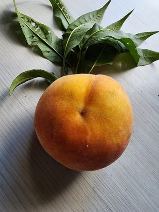 λ¨ μκ²° κ°λ₯λ§λμ 8μ λ΄ μλ¬Ό μλνκΈ° Β· μ°Έμ¬κΈ μμ±κΈ μ¬μ§