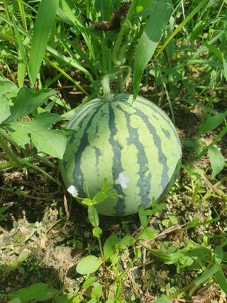 λ¨ μκ²° κ°λ₯λ§λμ 8μ λ΄ μλ¬Ό μλνκΈ° Β· μ°Έμ¬κΈ μμ±κΈ μ¬μ§