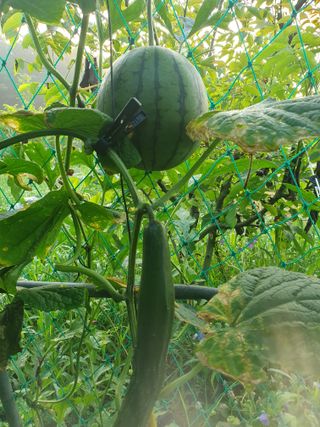 λ¨ μκ²° κ°λ₯λ§λμ 8μ λ΄ μλ¬Ό μλνκΈ° Β· μ°Έμ¬κΈ μμ±κΈ μ¬μ§