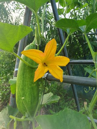 λ¨ μκ²° κ°λ₯λ§λμ 8μ λ΄ μλ¬Ό μλνκΈ° Β· μ°Έμ¬κΈ μμ±κΈ μ¬μ§