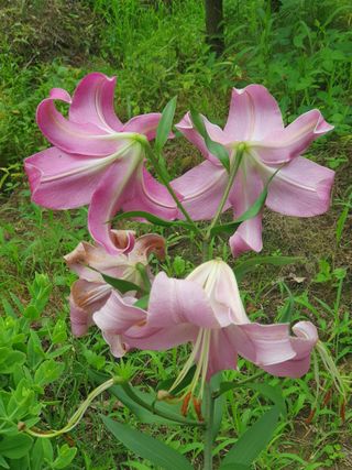 λ¨ μκ²° κ°λ₯λ§λμ 8μ λ΄ μλ¬Ό μλνκΈ° Β· μ°Έμ¬κΈ μμ±κΈ μ¬μ§