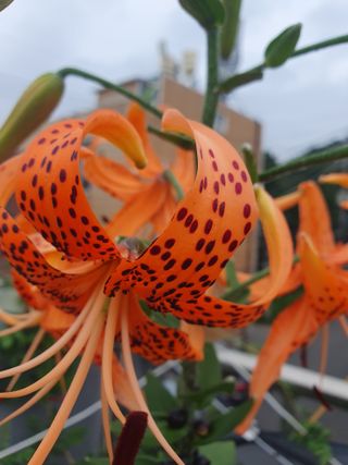 λ¨ μκ²° κ°λ₯λ§λμ 8μ λ΄ μλ¬Ό μλνκΈ° Β· μ°Έμ¬κΈ μμ±κΈ μ¬μ§