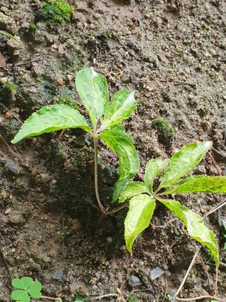 λ¨ μκ²° κ°λ₯λ§λμ 8μ λ΄ μλ¬Ό μλνκΈ° Β· μ°Έμ¬κΈ μμ±κΈ μ¬μ§