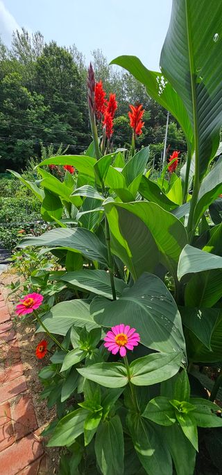 실크로드님의 8월 내 작물 자랑하기 · 참여글 작성글 사진