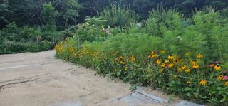 실크로드님의 8월 내 작물 자랑하기 · 참여글 작성글 사진