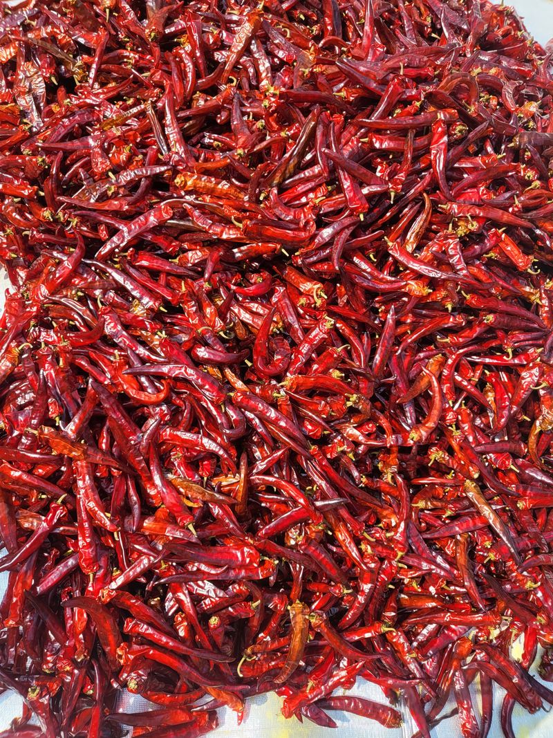 김현옥님의 장터 판매 상품 [음성 햇고추가루 1근(500g)] 첨부 사진