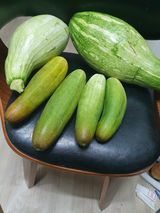 팜모닝 기타작물·자유게시판 게시글 이미지