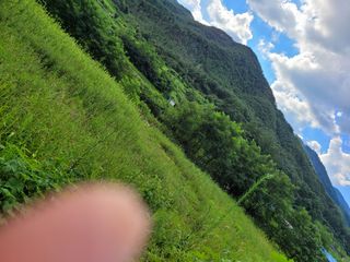 심선옥님의 콩 · 영농일지 작성글 사진