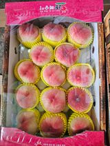 팜모닝 복숭아·자유게시판 게시글 이미지