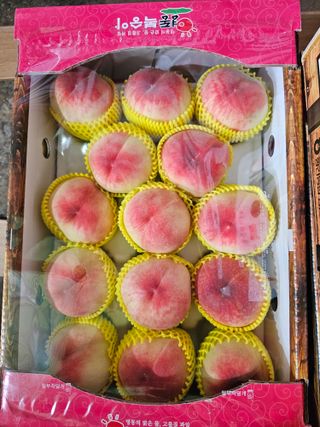 송광영님의 복숭아 · 자유게시판 작성글 사진