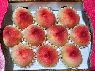 송광영님의 복숭아 · 자유게시판 작성글 사진