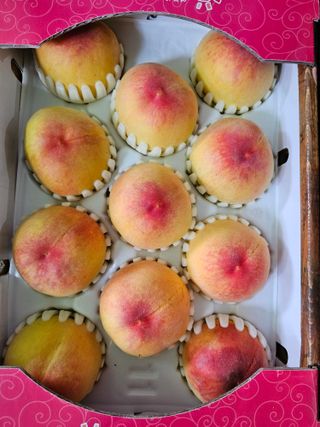 송광영님의 복숭아 · 자유게시판 작성글 사진