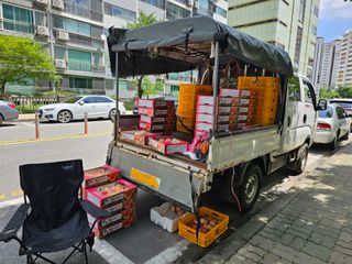 송광영님의 복숭아 · 자유게시판 작성글 사진