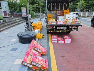 송광영님의 복숭아 · 자유게시판 작성글 사진