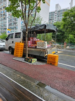 송광영님의 복숭아 · 자유게시판 작성글 사진