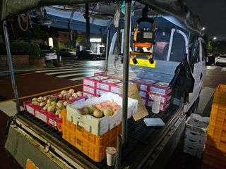 송광영님의 복숭아 · 자유게시판 작성글 사진