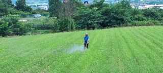 별라님의 들깨 · 자유게시판 작성글 사진