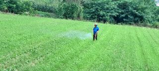 별라님의 들깨 · 자유게시판 작성글 사진