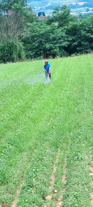 별라님의 들깨 · 자유게시판 작성글 사진