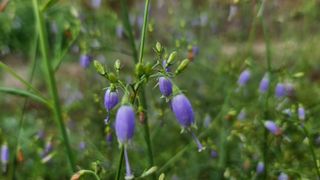 조병대님의 8월 내 작물 자랑하기 · 참여글 작성글 사진