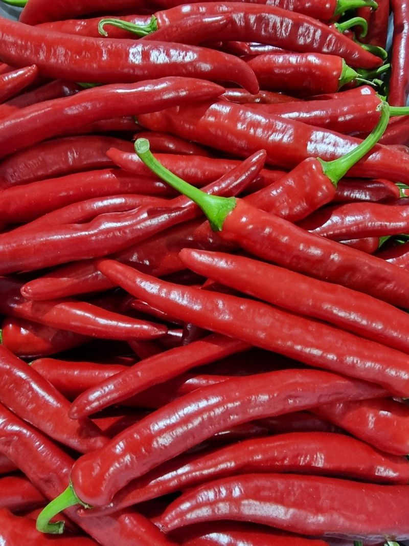 장금이1님의 장터 판매 상품 [햇고춧가루 특가행사 마감] 첨부 사진