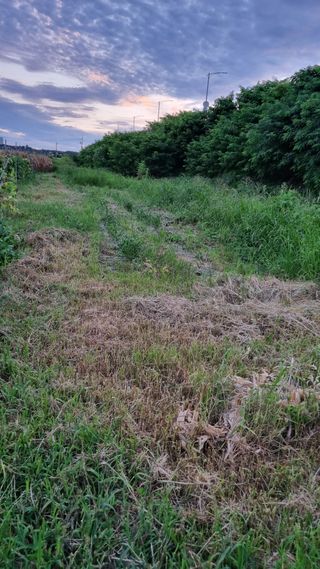 주화숙님의 8월 내 작물 자랑하기 · 참여글 작성글 사진