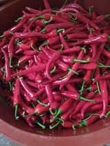 팜모닝 8월 내 작물 자랑하기·참여글 게시글 이미지