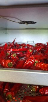 팜모닝 8월 내 작물 자랑하기·참여글 게시글 이미지