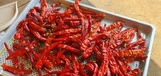 또순이떼지누리님의 8월 내 작물 자랑하기 · 참여글 작성글 사진