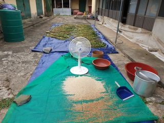 심기정님의 8월 내 작물 자랑하기 · 참여글 작성글 사진