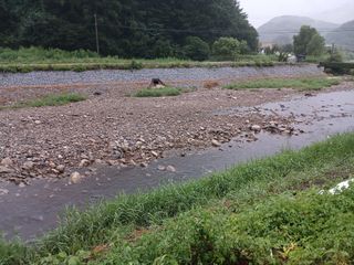 알 수 없음님의 우리동네 · 동네수다 작성글 사진