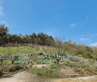 일향 님의 8월 내 작물 자랑하기 · 참여글 작성글 사진