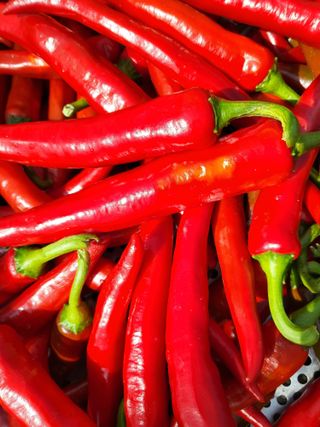 마음길베리님의 8월 내 작물 자랑하기 · 참여글 작성글 사진