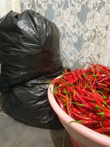 팜모닝 8월 내 작물 자랑하기·참여글 게시글 이미지