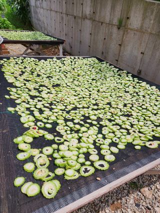 유재일님의 8월 내 작물 자랑하기 · 참여글 작성글 사진