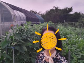 영농준비님의 8월 내 작물 자랑하기 · 참여글 작성글 사진