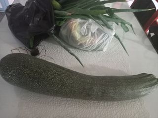 강현숙님의 8월 내 작물 자랑하기 · 참여글 작성글 사진