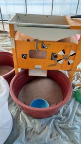 팜모닝 참깨·자유게시판 게시글 이미지