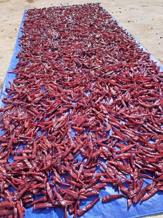 이종춘님의 자유주제 · 자유게시판 작성글 사진