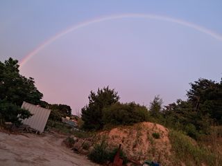 이종춘님의 자유주제 · 자유게시판 작성글 사진