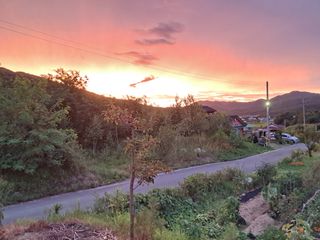 이종춘님의 자유주제 · 자유게시판 작성글 사진