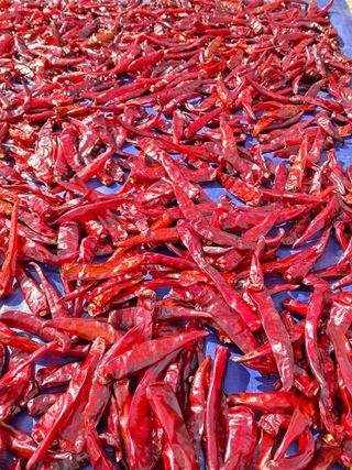 이종춘님의 자유주제 · 자유게시판 작성글 사진