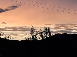 이종춘님의 자유주제 · 자유게시판 작성글 사진