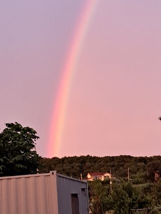 이종춘님의 자유주제 · 자유게시판 작성글 사진