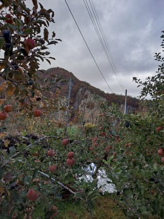 손부익님의 8월 내 작물 자랑하기 · 참여글 작성글 사진