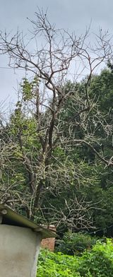 팜모닝 자유주제·자유게시판 게시글 이미지