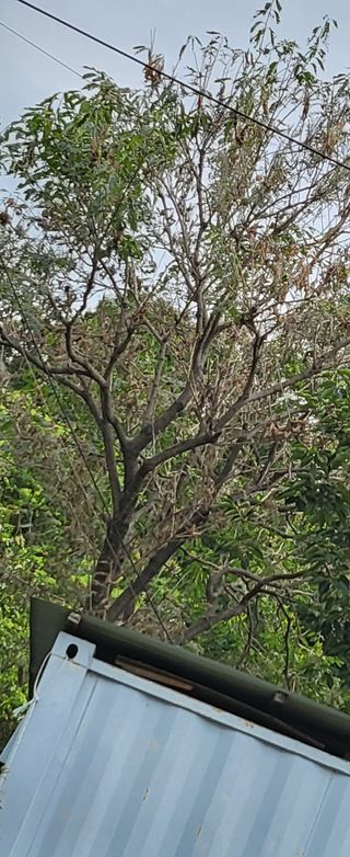 진잠농원님의 자유주제 · 자유게시판 작성글 사진