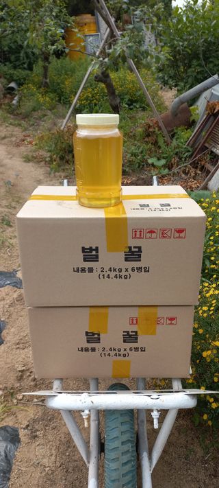 한학수님의 작성글 사진